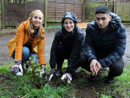 Starbucks volunteer and refugees working for Starbucks
