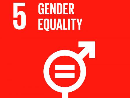 UN SDGs gender equality