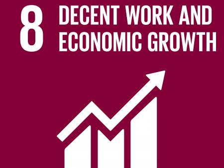 UN SDG Goal 8 Decent work and economic growth