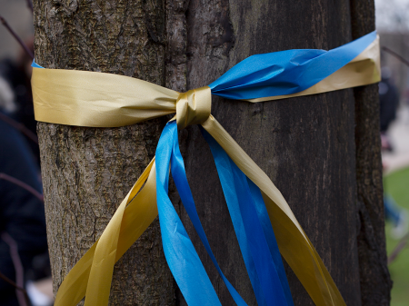 Ribbons in the colours of the Ukrainian flag