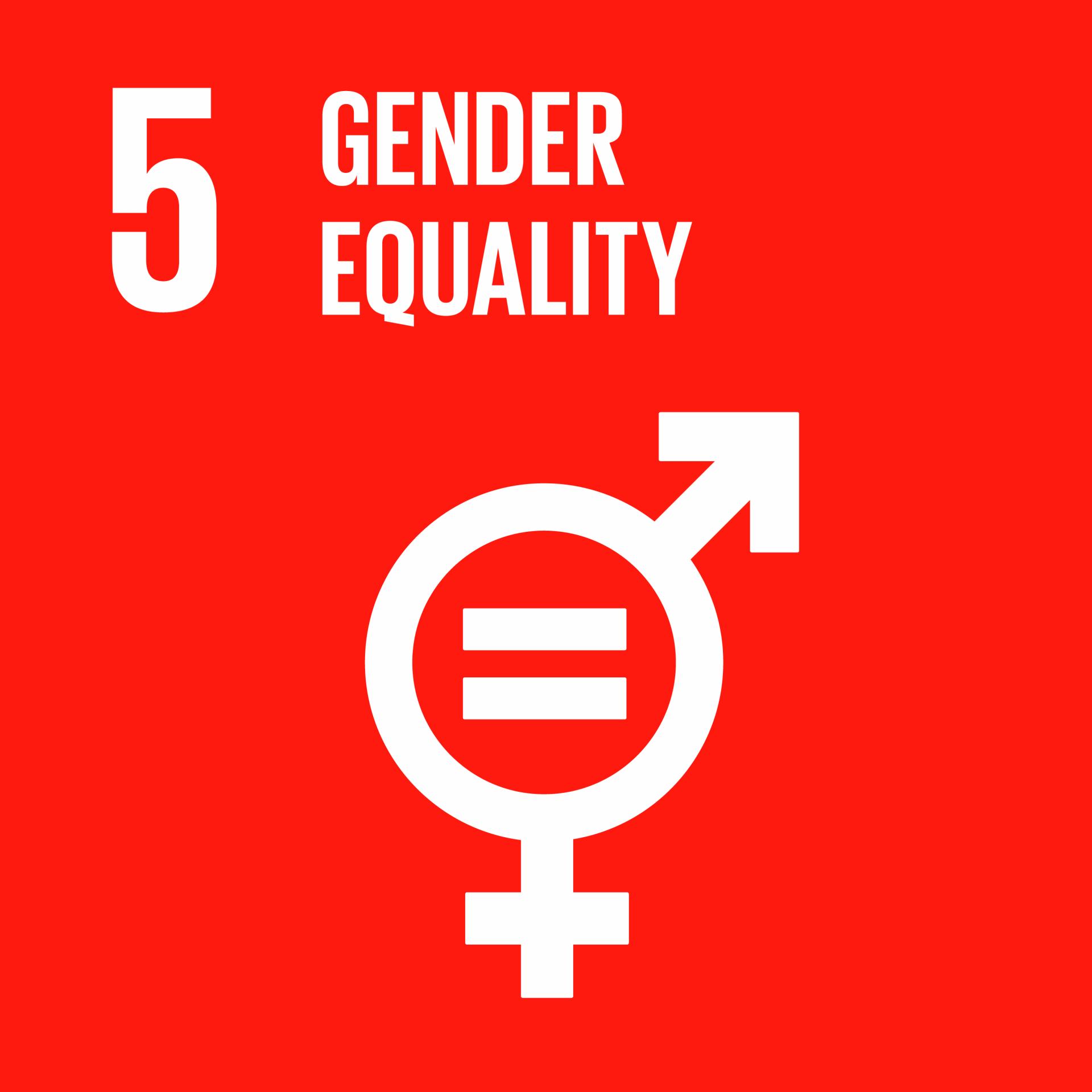 UN SDGs gender equality