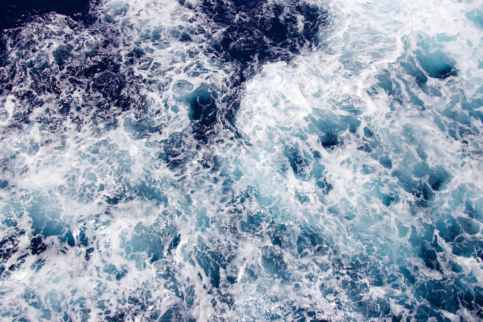 close up shot of foam on a body of water