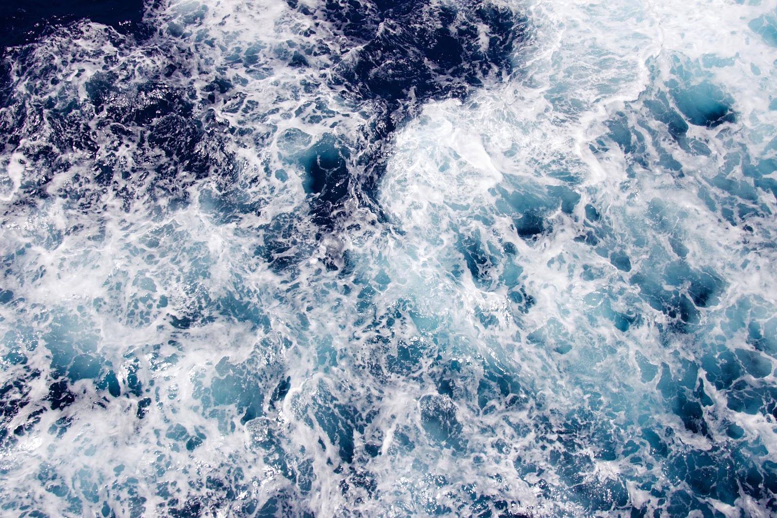 close up shot of foam on a body of water 